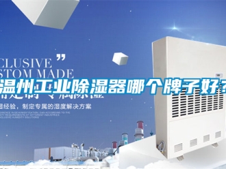 行业新闻温州工业除湿器哪个牌子好？