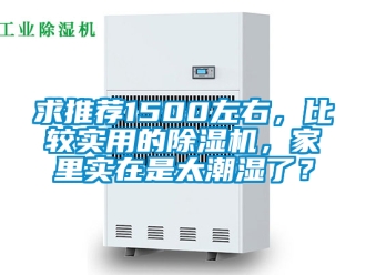 行业新闻求推荐1500左右，比较实用的除湿机，家里实在是太潮湿了？