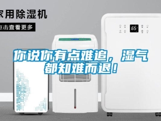 行业新闻你说你有点难追，湿气都知难而退！