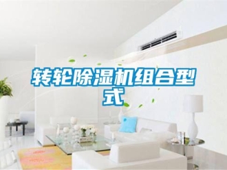 知识百科转轮除湿机组合型式