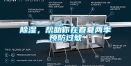 除湿，帮助你在春夏两季预防过敏
