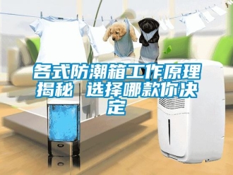 常见问题各式防潮箱工作原理揭秘 选择哪款你决定
