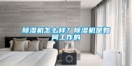 除湿机怎么样？除湿机是如何工作的