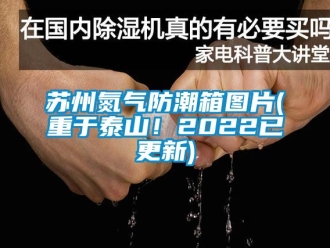 常见问题苏州氮气防潮箱图片(重于泰山！2022已更新)