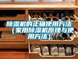 常见问题除湿机的正确使用方法（家用除湿机原理与使用方法）