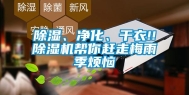 除湿、净化、干衣!!除湿机帮你赶走梅雨季烦恼