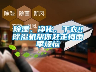 常见问题除湿、净化、干衣!!除湿机帮你赶走梅雨季烦恼