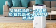 腊肠除湿机＊-华青热能(在线咨询)-威海腊肠除湿机