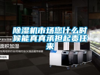 企业新闻除湿机市场您什么时候能真真承担起责任来