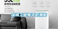 深圳工业电子防潮柜