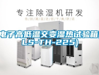 常见问题电子高低温交变湿热试验箱(LS-TH-225)