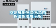 文物展柜恒温恒湿机(保温保湿展示柜)
