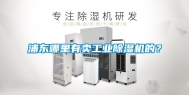 浦东哪里有卖工业除湿机的？