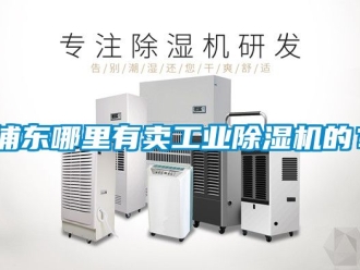 常见问题浦东哪里有卖工业除湿机的？