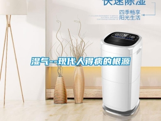 知识百科湿气--现代人得病的根源