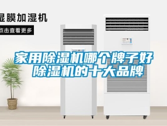 企业新闻家用除湿机哪个牌子好 除湿机的十大品牌