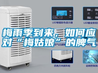 常见问题梅雨季到来，如何应对“梅姑娘”的脾气