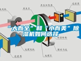 常见问题“大而全”和“小而美”除湿机如何选择