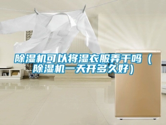 行业新闻除湿机可以将湿衣服弄干吗（除湿机一天开多久好）