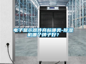 行业新闻电子显示器件商标哪类-除湿机哪个牌子好？