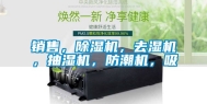销售，除湿机，去湿机，抽湿机，防潮机，吸