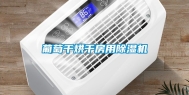 葡萄干烘干房用除湿机