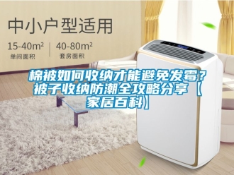 常见问题棉被如何收纳才能避免发霉？被子收纳防潮全攻略分享【家居百科】