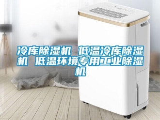 常见问题冷库除湿机 低温冷库除湿机 低温环境专用工业除湿机