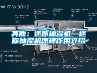 企业新闻其他：迷你抽湿机—迷你抽湿机原理作用介绍