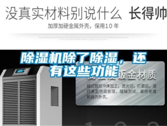 企业新闻除湿机除了除湿，还有这些功能