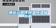 清远元器件恒温恒湿储存柜