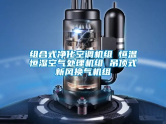 知识百科组合式净化空调机组 恒温恒湿空气处理机组 吊顶式新风换气机组