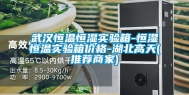 武汉恒温恒湿实验箱-恒湿恒温实验箱价格-湖北高天(推荐商家)
