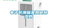 电子防潮箱是如何除湿的