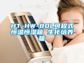 常见问题HT-HW-80L可程式恒温恒湿箱 生化培养箱