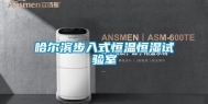 哈尔滨步入式恒温恒湿试验室