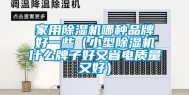 家用除湿机哪种品牌好一些（小型除湿机什么牌子好又省电质量又好）