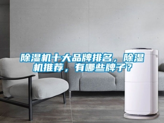 企业新闻除湿机十大品牌排名，除湿机推荐，有哪些牌子？