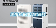 湖州专业抽湿机品牌