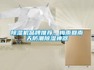 企业新闻除湿机品牌推荐，梅雨回南天防潮除湿神器