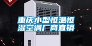 重庆小型恒温恒湿空调厂商直销