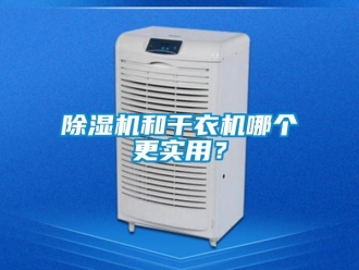 常见问题除湿机和干衣机哪个更实用？