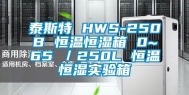 泰斯特 HWS-250B 恒温恒湿箱 0~65℃／250L 恒温恒湿实验箱