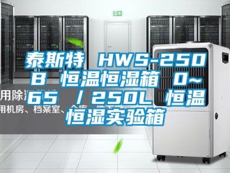 知识百科泰斯特 HWS-250B 恒温恒湿箱 0~65℃／250L 恒温恒湿实验箱