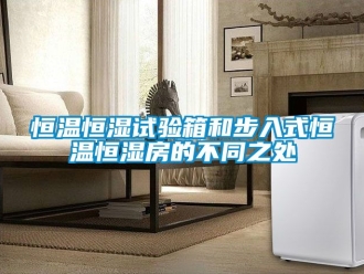 知识百科恒温恒湿试验箱和步入式恒温恒湿房的不同之处
