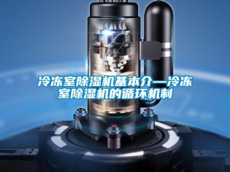 行业新闻冷冻室除湿机基本介—冷冻室除湿机的循环机制