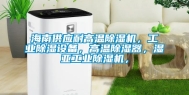 海南供应耐高温除湿机，工业除湿设备，高温除湿器，湿亚工业除湿机，
