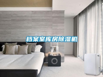 企业新闻档案室库房除湿机