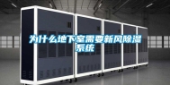 为什么地下室需要新风除湿系统