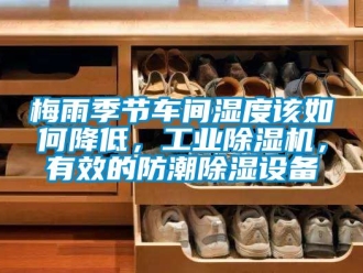 常见问题梅雨季节车间湿度该如何降低，工业除湿机，有效的防潮除湿设备